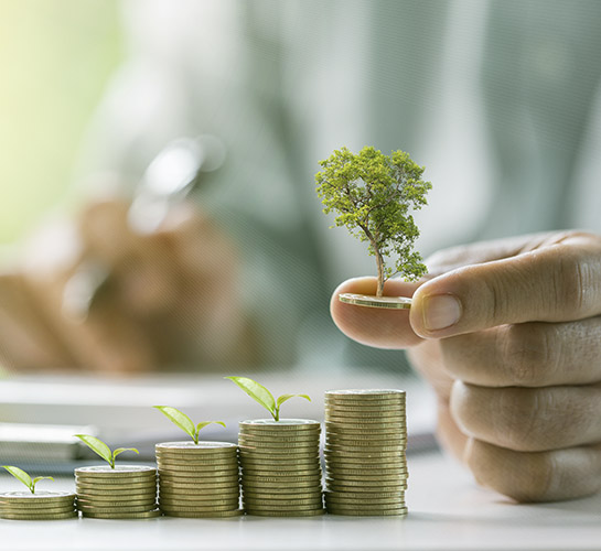 hand holding a gold coin with a plant on it